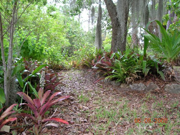 Entry Path